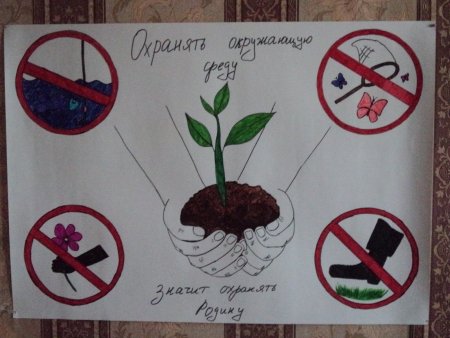 Плакат берегите растения