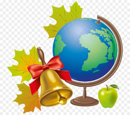 Глобус школьный