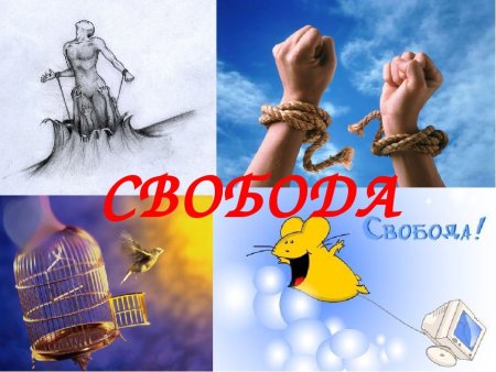 Свобода это в обществознании