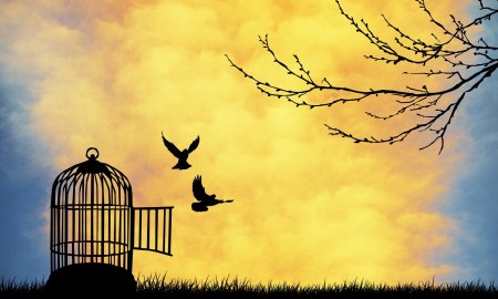 Свободная живопись