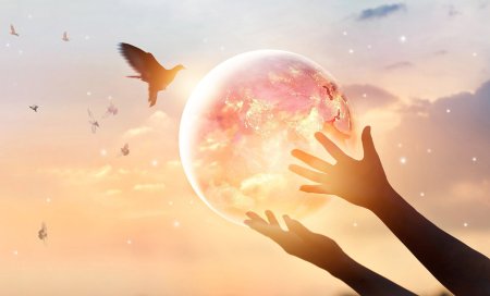 Прав и свобод человека