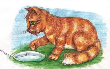 Домашние питомцы рисунок на конкурс