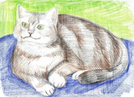 Рисунок любимого животного