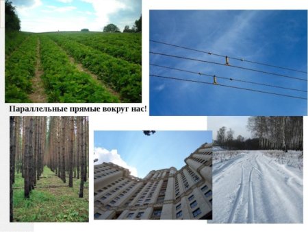 Параллельно прямые, в жизни