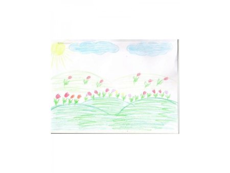 Природа родного края Калмыкия рисунки