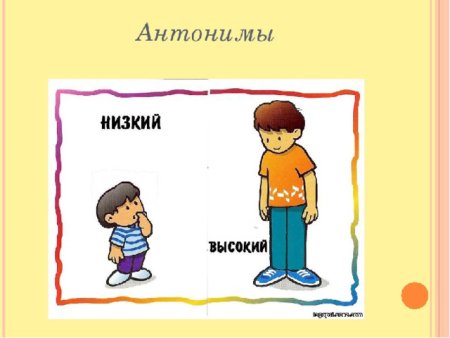 Антонимы примеры