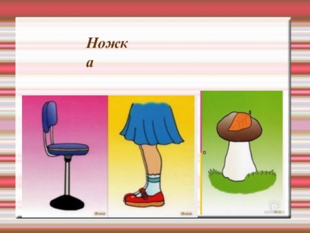 Иллюстрации по теме омонимы