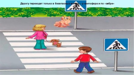 Переходи дорогу правильно