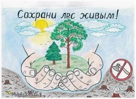 Экологияи глазами детей