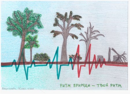Ритмы природы экология