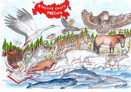 Рисунки животных из красной книги