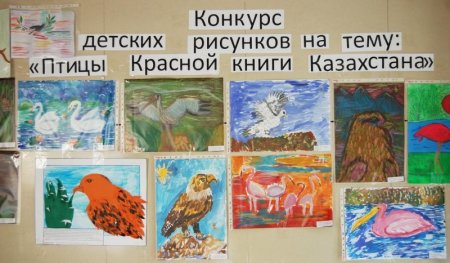 Плакат животные красной книги