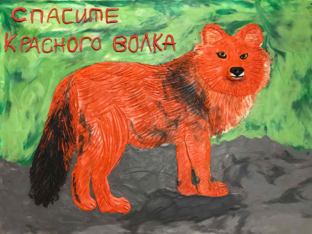 Красная книга рисунок