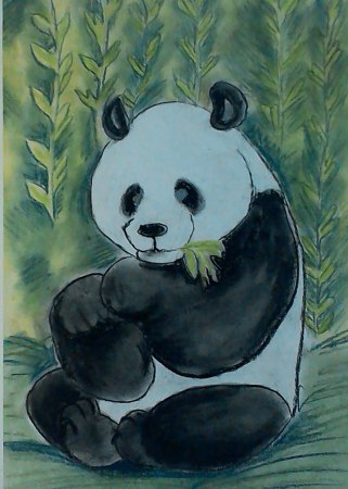 Иллюстрации краснокнижных растений и животных