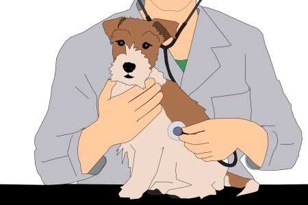 Ветеринар рисунок для детей