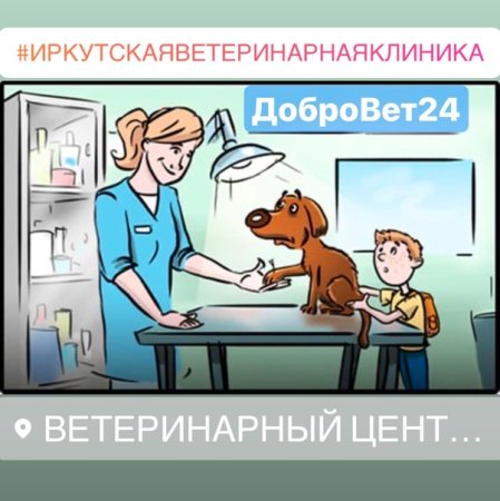 Детские рисунки ветеринара