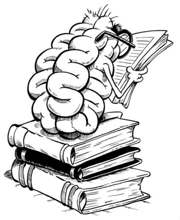 Стопка книг