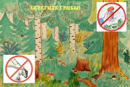 По Лесной тропинке рисунок на конкурс