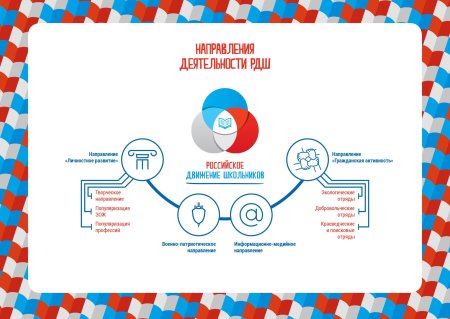 Гражданская активность РДШ