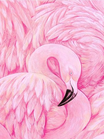 Розовые картинки для срисовки