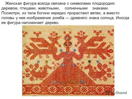 Древо жизни символ солярные знаки