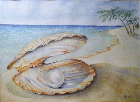 Ракушка цветными карандашами