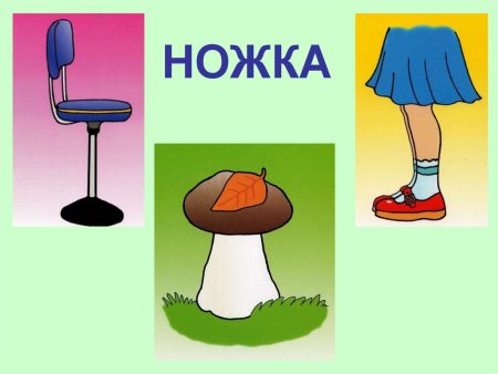 Многозначные слова