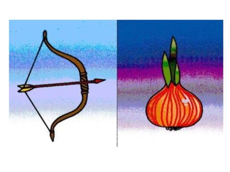 Многозначные слова рисунки