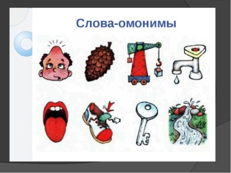 Слова омонимы