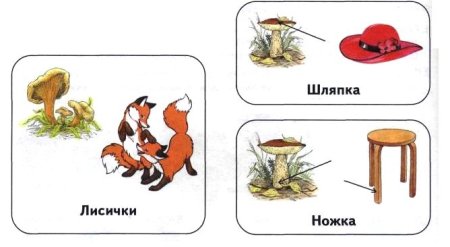 Многозначные слова для детей