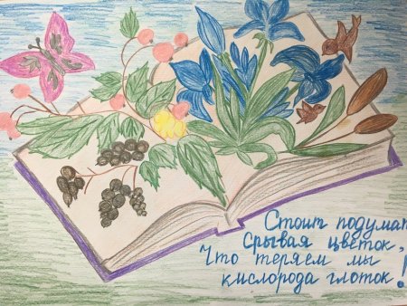 Плакат призывающий к защите природы