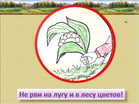 Плакат берегите цветы