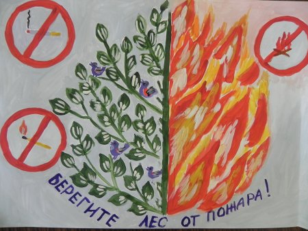 Плакат в защиту дикорастущих растений