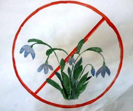 Знаки охраны природы