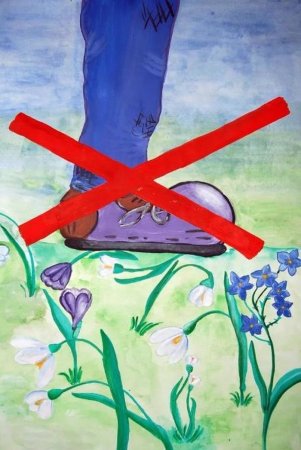 Плакат на экологическую тему