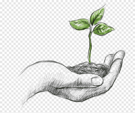 Берегите растения знаки