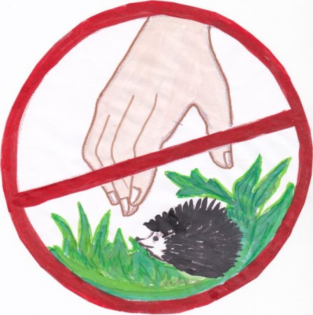 Символ природы