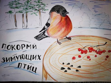 Помоги птицам зимой