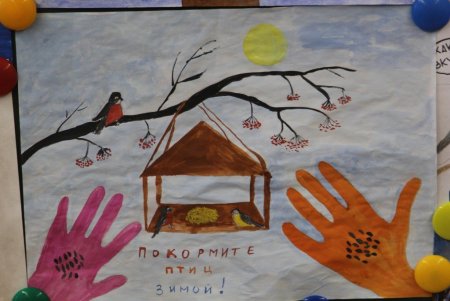 Рисование на тему кормушка для птиц