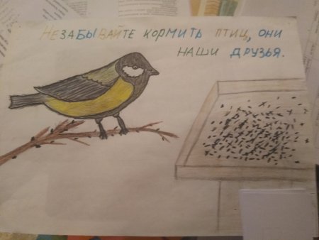 Рисование покормим птиц