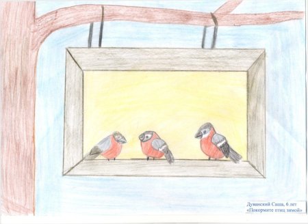 Проект Покормите птиц зимой старшая группа