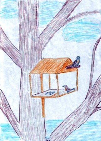 Конкурс рисунков Покормите птиц