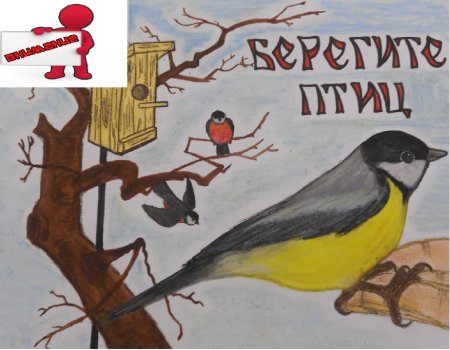 Плакат берегите птиц