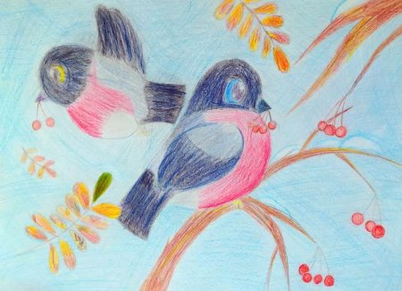 Рисунок на конкурс наши пернатые друзья