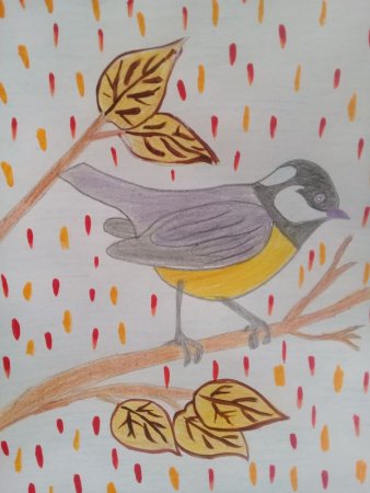 Конкурс рисунков пернатые друзья