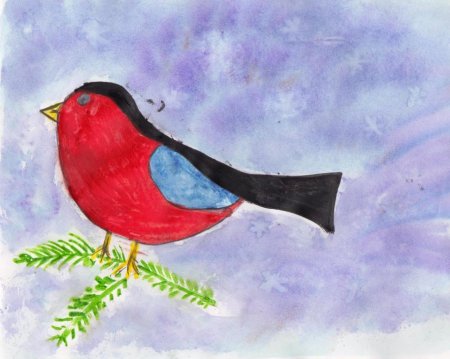 Рисование пернатые друзья