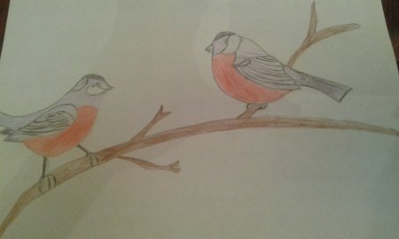 Рисование рябина и птицы дети