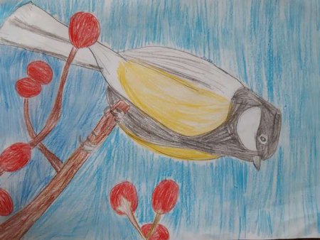 Рисование на тему Мои пернатые друзья