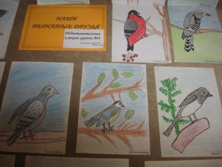 Рисование зимующие птицы