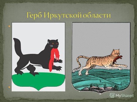 Бабр Иркутск герб Иркутска
